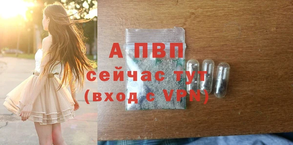 индика Покровск