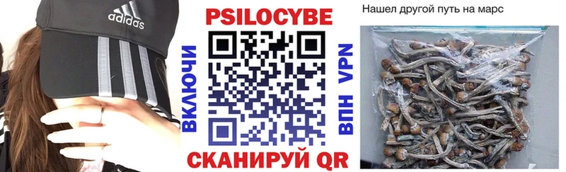 это как зайти  Стрежевой  Псилоцибиновые грибы Psilocybe  MEGA ONION 